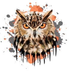 Owl Stylized Vector Portrait - Colorful vector animal