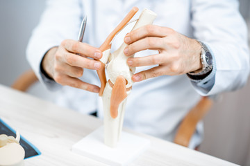 Close-up of the therapist showing knee joint model during the medical consultation - obrazy, fototapety, plakaty