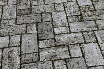 Perspective View of Monotone Gray Brick Stone on The Ground for Street Road.