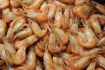 Sea prawns that eat with beer