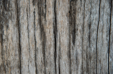 Abstract wood background.