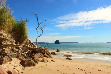 Fototapeten Cathedral Cove on the Coromandel Penninsula, New Zealand. © reindo