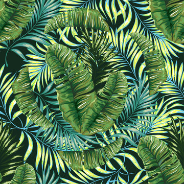 Seamless pattern of a tropical palm tree, jungle leaves. Vector floral pattern.