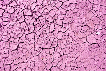 cracked ground, pink