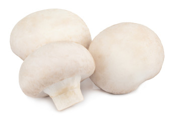  champignon mushrooms isolated on white background, with clipping path