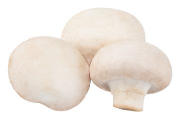  champignon mushrooms isolated on white background, with clipping path