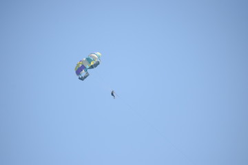 kite in the sky