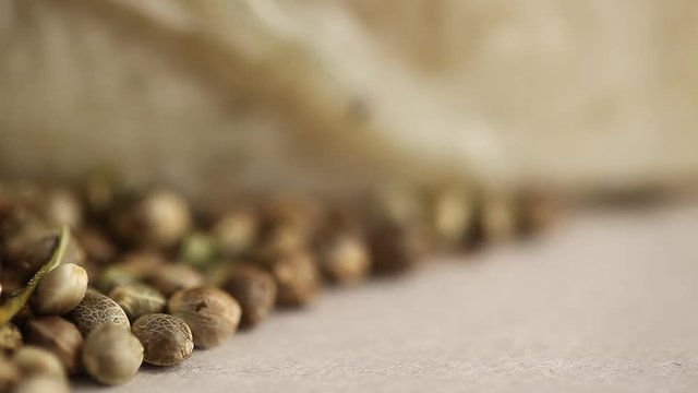video medical cannabis . hemp seeds oil cbd
