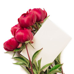 Spring concept. Bouquet of red pions isolated on white