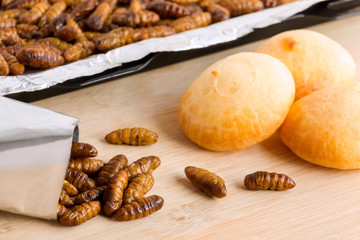 Silkworm Pupae insects for eating as food.  Chrysalis silkworm with baked bread made of cooked insect meat with baking tray and in a foil wrap ready to eat, it is good source of protein edible.