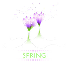 Background with pastel spring flowers