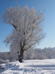 Winter scenery, winter, nature