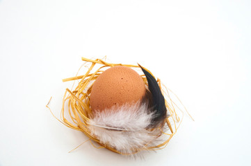 chicken egg with a feather in a nest of dry straw