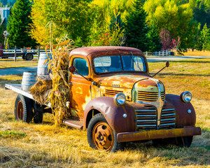 Old Truck in field