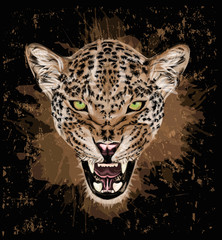 Portrait of a leopard - Colorful vector art - Grunge art