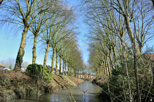 ath all&eacute;e arbres