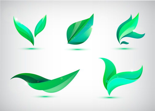 Vector set of green leaves illustrations, icons, logos isolated. Eco