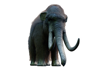 mammoth on white background render 3d