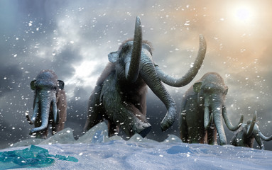 herd of mammoths in the wild render 3d - obrazy, fototapety, plakaty