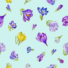 Watercolor floral pattern with spring crocuses.