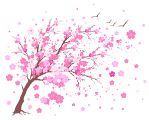 Obraz na płótnie Canvas pink cherry flowers tree , on a white