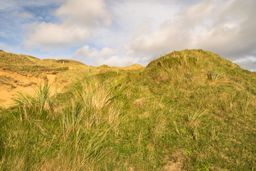 Fototapeta premium Dune di sabbia
