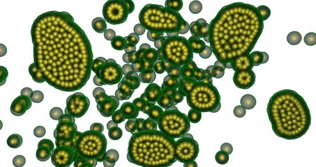 Microscopic life, virus, algae, cells, bacteria multiplying , reproducing growing, spreading.  White background  3d rendering