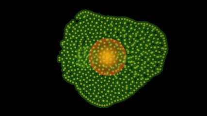 Microbes, drug molecules , nanobots envelope and kill target cell. 3d render