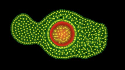 Microbes, drug molecules , nanobots envelope and kill target cell. 3d render