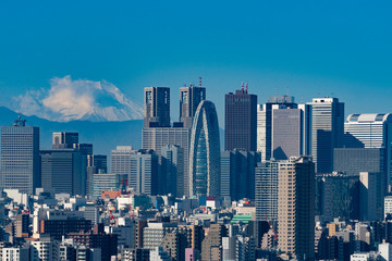Tokyo city landmark skyline in day time blue tone.