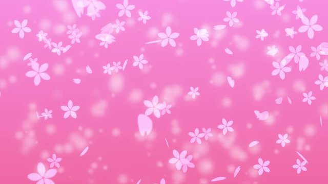 桜　パーティクル