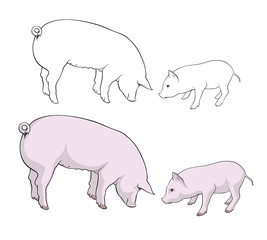 Pigs. Pig and piglet are eating. Vector illustration