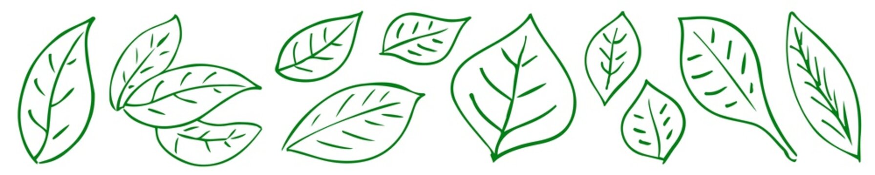 green leaf icon set #isolated #vector