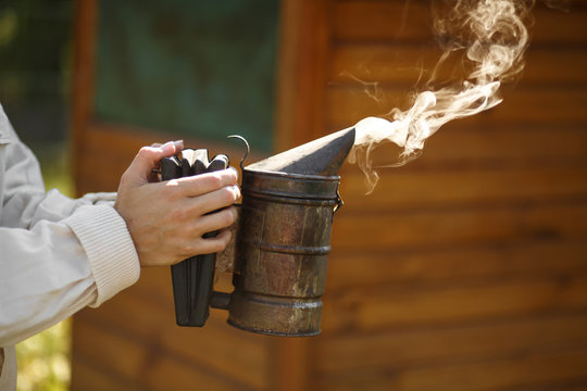 Technology of fumigation of bees. Intoxicating smoke for safe honey production. Beekeeper hold in hand bee smoker. Beekeeping tool
