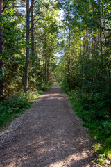 Fototapeta premium empty country gravel road with mud puddles and bumps