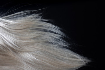 Blond shiny hair on black. Abstract fashion style background.