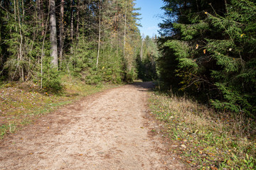 empty country gravel road with mud puddles and bumps