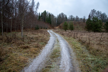 empty country gravel road with mud puddles and bumps