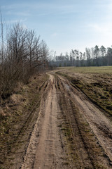 empty country gravel road with mud puddles and bumps