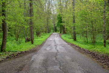 empty asphalt road outside city