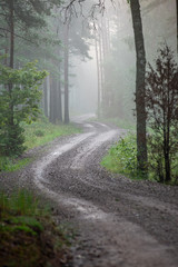 empty country gravel road with mud puddles and bumps