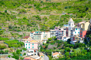 Fototapeta premium Typical italian buildings houses and green vineyard terraces in valley of Manarola village National park Cinque Terre in sunny day, La Spezia province, Liguria, Italy