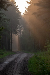 empty country gravel road with mud puddles and bumps