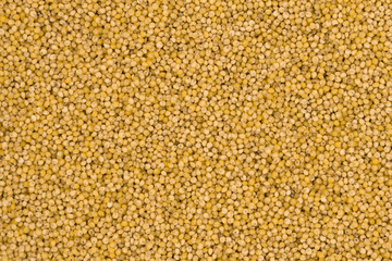 Yellow millet groats texture background