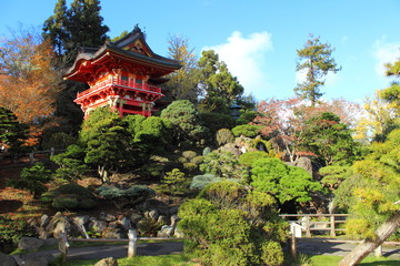 Fototapeta premium Japanese Tea Garden - San Francisco