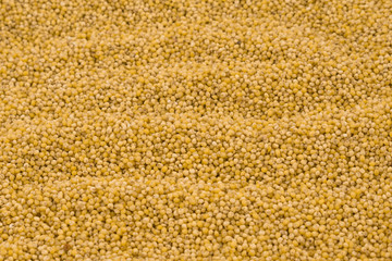 Yellow millet groats texture background