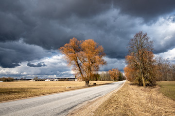 Fototapeta premium empty asphalt road outside city