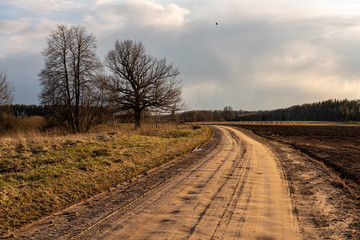 empty country gravel road with mud puddles and bumps