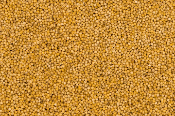Yellow millet groats texture background