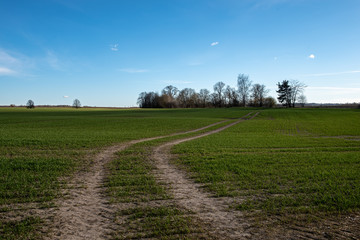 empty country gravel road with mud puddles and bumps